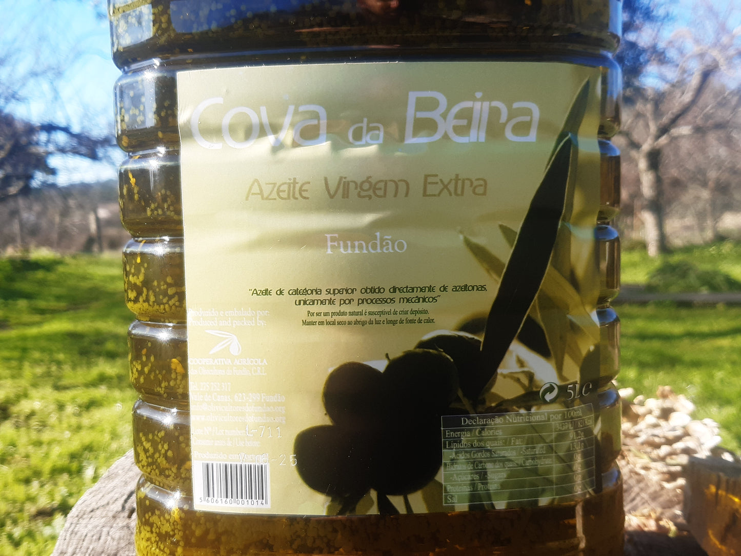 5 liters of olive oil